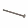 New 🎁 Prime-Line 1/4 in.-20 x 4 in. A307 Grade A Hot Dip Galvanized Steel Carriage Bolts (50-Pack) 🎉 -Hot Sale Prime-Line Shop prime line carriage bolts 9062566 64 1000
