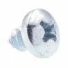 Budget ๐คฉ Prime-Line #8 x 1/4 in. Zinc Plated Steel Phillips Drive Pan Head Self-Tapping Sheet Metal Screws (50-Pack) ๐ 1 Budget ๐คฉ Prime-Line #8 x 1/4 in. Zinc Plated Steel Phillips Drive Pan Head Self-Tapping Sheet Metal Screws (50-Pack) ๐ -Hot Sale Prime-Line Shop prime line sheet metal screws 9019520 64 1000