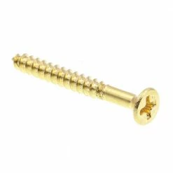 Best reviews of โค๏ธ Prime-Line #4 x 1 in. Solid Brass Phillips Drive Flat Head Wood Screws (100-Pack) โ