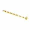 Brand new 🥰 Prime-Line #6 x 2 in. Solid Brass Phillips Drive Flat Head Wood Screws (25-Pack) ✔️ -Hot Sale Prime-Line Shop prime line wood screws 9034862 64 1000